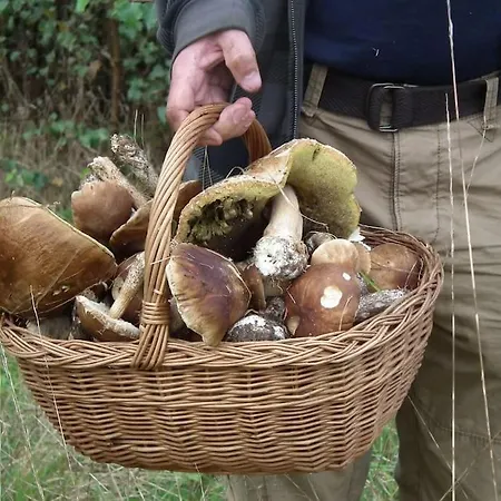 Dom Kaszubski 펜션 바이토프