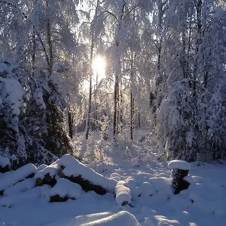 펜션 Dom Kaszubski *