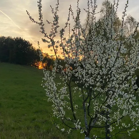 Dom Kaszubski 펜션 *