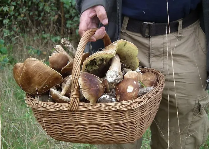 Dom Kaszubski Дом отдыха Битов