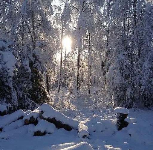 Semesterbostad Dom Kaszubski *