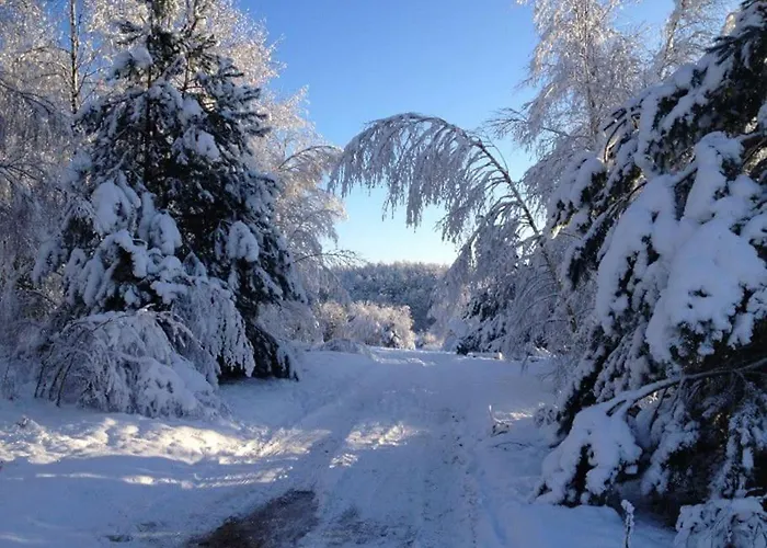 Semesterbostad Dom Kaszubski Bytów