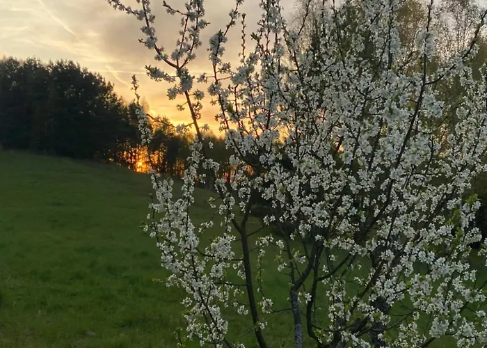 Dom Kaszubski Дом отдыха *