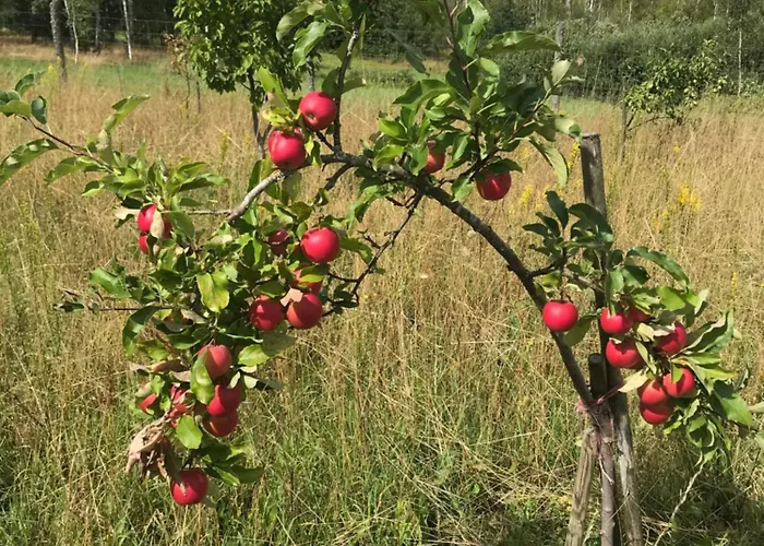 Dom Kaszubski Semesterbostad *