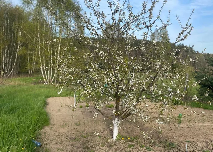 Semesterbostad Dom Kaszubski